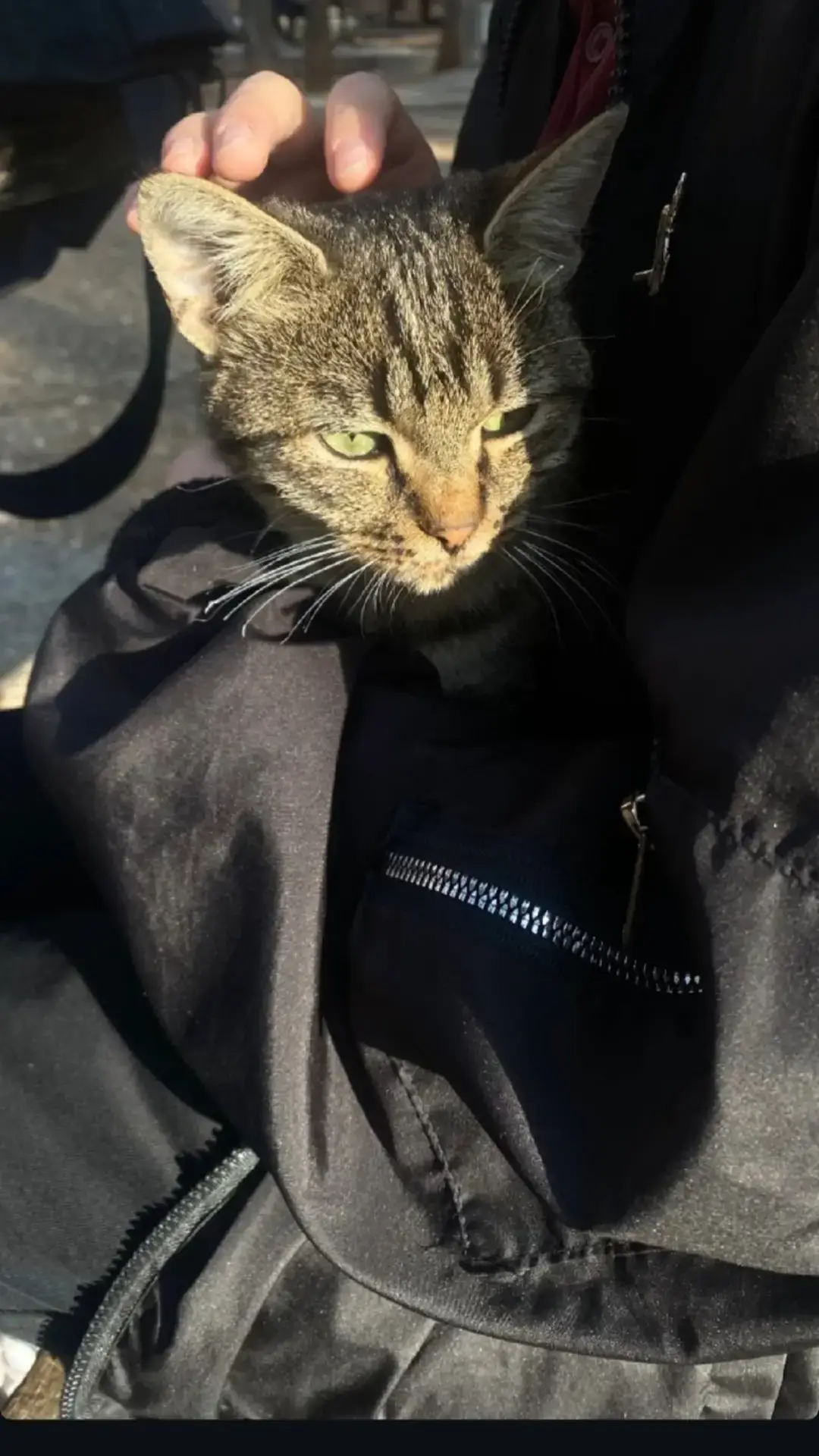 #fyp #viral #explore #CapCut #راحه_نفسيه 🌷