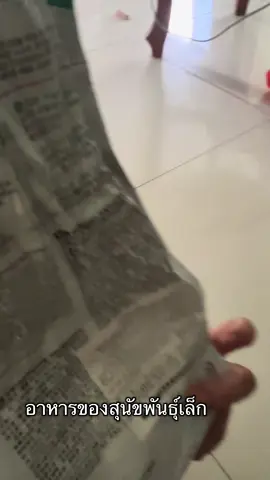 #กดลิงค์ได้เลย #สนใจสินค้าคลิกลิงค์หน้าโปรไฟร์เลยจร้า 