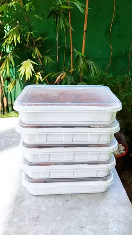 5pcs White Container Party Tray *3200ml*#foodtray #foodstorage #foodcontainer #partytray #fyp 