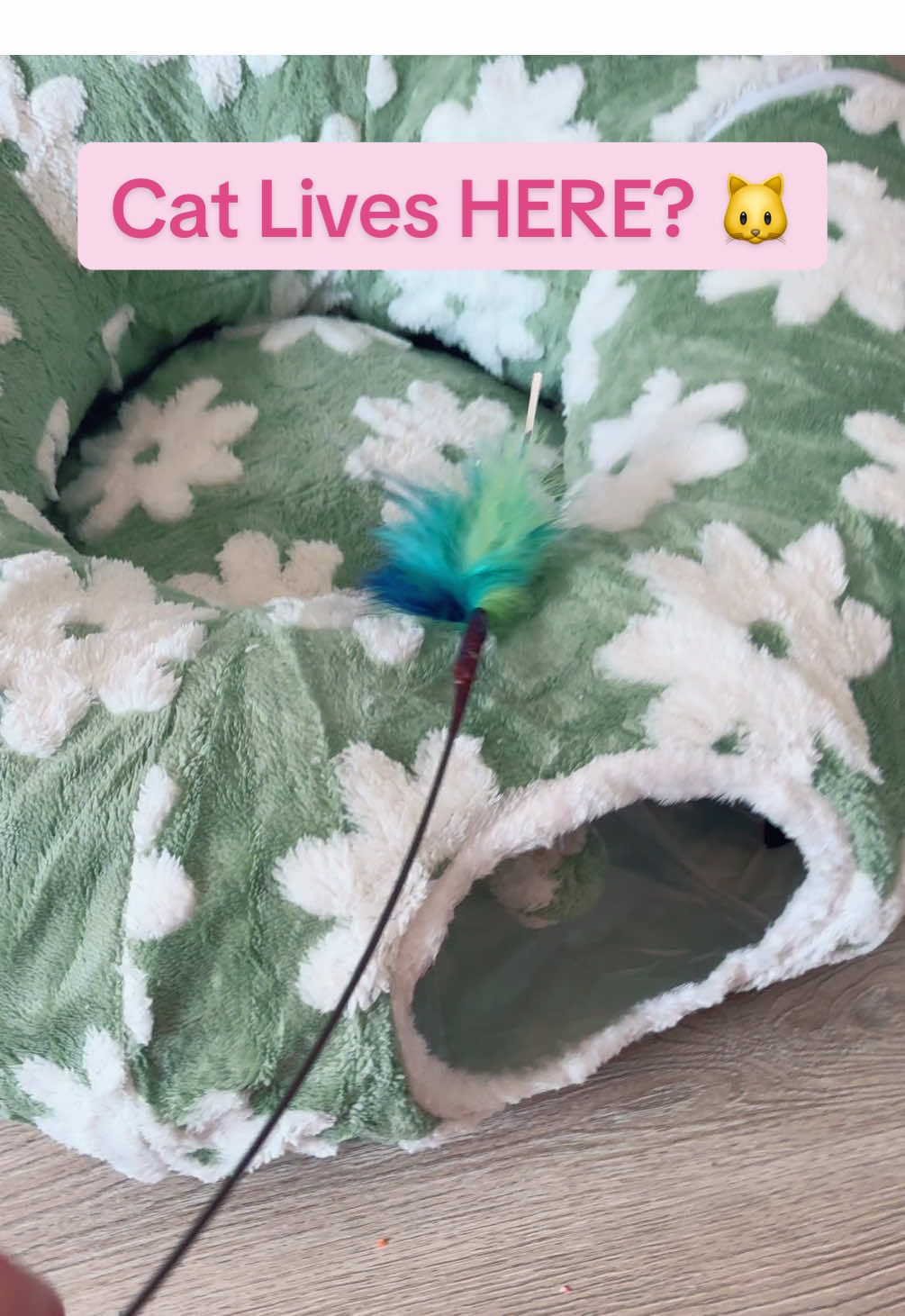 My cat’s new favorite hiding spot 💤🐈 The Lesure Cat Tunnel Bed is cozy and perfect for play and naps — he basically lives in it now 😂  #CatTunnelBed #Lesurepet #CatTok #CatLoversOfTikTok #tiktokshopfinds 