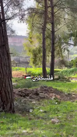 الله يكتب لنا صلاة بالمسجد الاقصى 🤍 #فلسطين #جنين #غزه #الاقصى 