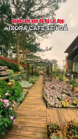 Quán cafe sen đá trong chiều hoàng hôn Đà Lạt #dalat #rongchoidalattravel #dalatstory #tiendalat #rongchoidalatgroup 