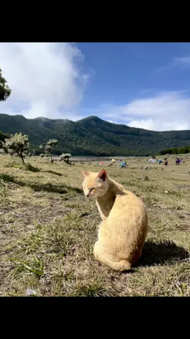 si oyen with surken #suryakencana #surken #gununggede #gununggedepangrango 