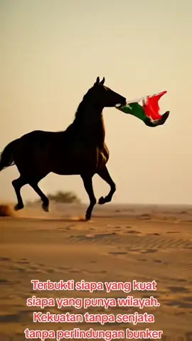 #creatorsearchinsights #gencatansenjata #palestina #gaza #fyppppppppppppppppppppppp