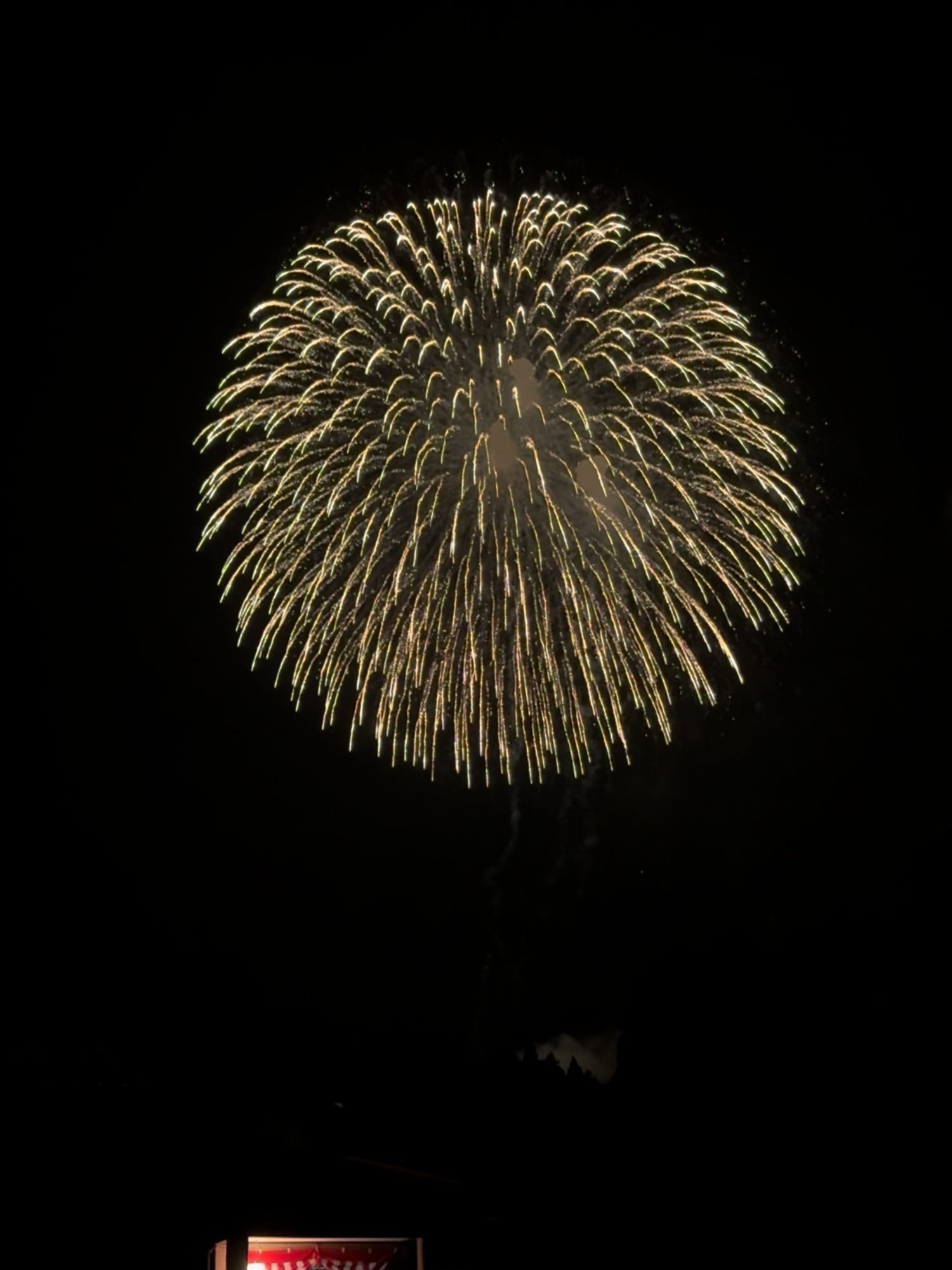 片貝花火 2025#花火 #花火大会 #fireworks #hanabi #fyp
