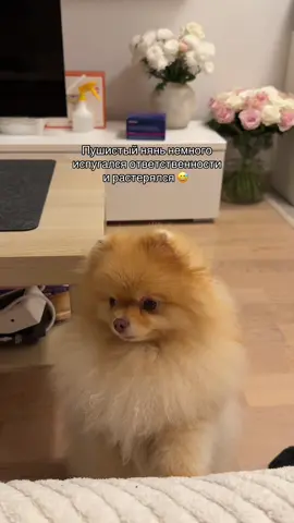 Как будто и хочется, и колется 😅😅