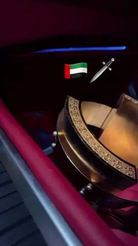 #هجن_الرياسة #لايكات #fyp 