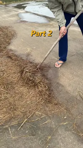 #reddit #redditstories #redditreadings #reddit_tiktok 