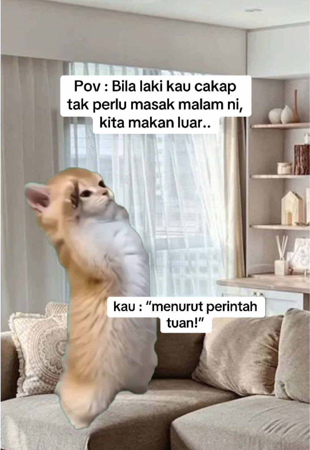 Pov : Bila laki kau cakap tak payah masak malam ni.. #pov #Meme #MemeCut 