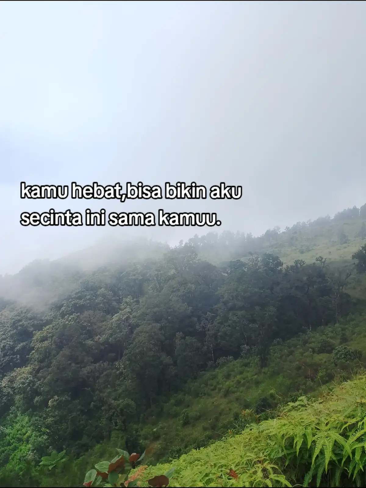 Bahan   • 1 ekor ayam   • 2 liter air   • 5 siung bawang merah   • 3 siung bawang putih   • 2 cm kunyit   • 1 cm jahe   • 2 batang serai (geprek)   • 3 lembar daun jeruk   • 2 lembar daun salam   • 1 sdt ketumbar   • 1/2 sdt lada   • Garam, gula, kaldu bubuk secukupnya   Langkah   1. Rebus ayam:   ◦ Rebus ayam dengan 2 liter air hingga matang. Angkat ayam, saring air rebusan untuk kuah.   2. Haluskan bumbu:   ◦ Blender bawang merah, bawang putih, kunyit, jahe, ketumbar, dan lada hingga halus.   3. Tumis bumbu:   ◦ Tumis bumbu halus bersama serai, daun jeruk, dan daun salam hingga harum.   4. Masukkan ayam ke kuah:   ◦ Tambahkan ayam ke dalam kuah rebusan. Masukkan bumbu tumis, garam, gula, dan kaldu bubuk. Masak hingga kuah mendidih.   5. Goreng ayam (opsional):   ◦ Goreng ayam sebentar hingga kecokelatan, lalu suwir untuk topping.   6. Sajikan:   ◦ Sajikan kuah dengan ayam suwir, bihun, tauge, kol, dan pelengkap lainnya.   Hasil   Soto ayam dengan kuah bening, ayam suwir, dan aroma rempah yang khas. Cocok dinikmati dengan nasi hangat atau lontong. #fyp #fouryourpage #fypbranda #fypシ゚viral🖤tiktok #viral 