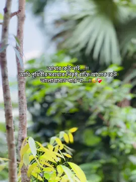 আমার কেউ নাই....!! আমি পৃথিবীর সবথেকে নিকৃষ্ট ব্যক্তি আমাকে কেউ ভালবাসতে পারে না.... 😅❤️‍🩹#obak_valobasa_e #fypシ #captionvideo #tiktokofficialbangladesh #sadcaption 