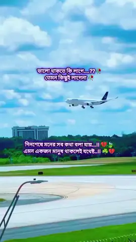 হুম 😍 #সৌদিপ্রবাসীর_বউ✈️👰❤️😭🇸🇦🇸🇦 #ফরইউতে_দেখতে_চাই #সাপোর্ট_করলে_সাপোর্ট_পাবেন 
