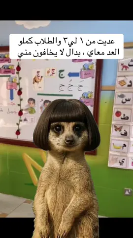 #الشعب_الصيني_ماله_حل😂😂 #طلعوني_اکسبلور #اكسبلور #مالي_خلق_احط_هاشتاقات #دوام