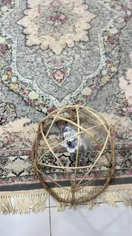Get ready with me to prepare tuwo for my husband🌝🤭❤️