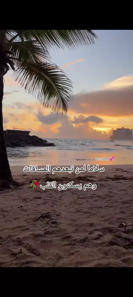 #ويه_الطيورالطايرة🕊 #حسام_الرسام #iraqi_songs #messo2016 #اغاني_عراقية 