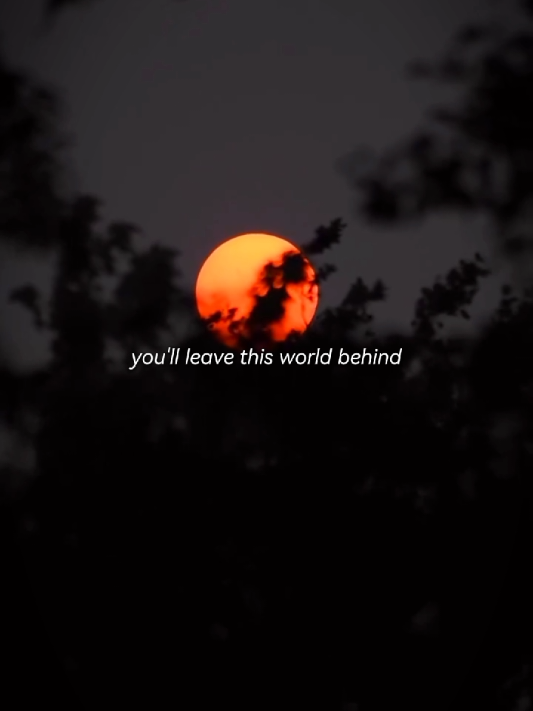 live a life you will remember #blackmood #aesthetic #foryoupage 