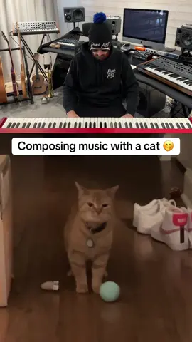 Composing music with a cat 🥰