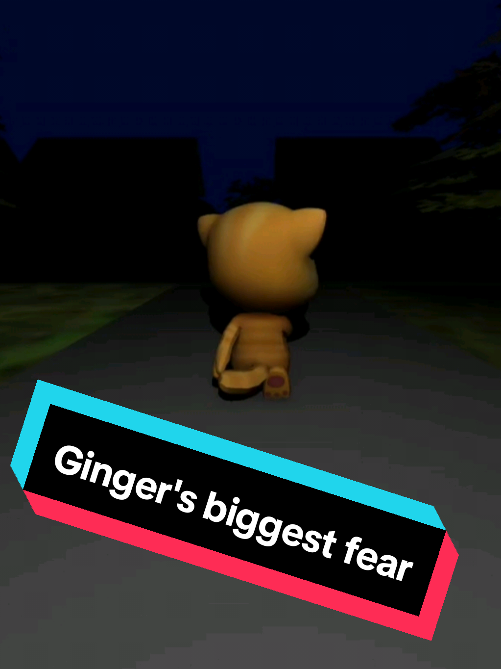 Ginger's biggest fear #talkingtomfriends  #catgetthefuckoutmeme 