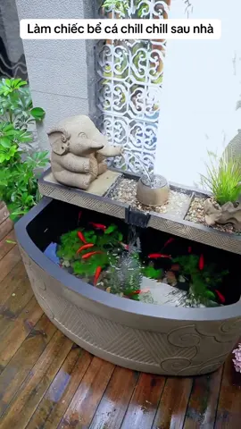Cuộc sống sân vườn của tôi gắn liền với nước chảy, bơi cùng cá, nhảy múa cùng hoa cỏ, bình yên và thoải mái