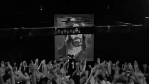 وكله يبو فاضل غريبه 😔💔  #سيد_سلام_الحسيني 