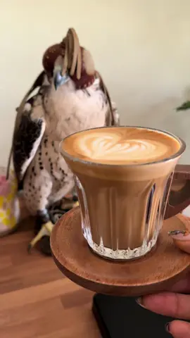 عيني الي كنها الدله😔#fypシ #اكسبلور #fyppppppppppppppppppppppp #fypシ゚viral #coffee 