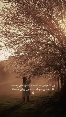وردك جميل ما أحلاه...فتّح على غصنه ‏لمّا الـنـدى حـيّـاه .... نـوّر وبان حُـسنه#اكسسسسسسسسسسسسسسبلورً🖤فولو👌🏻 #اكسسسسسسسسسسسسسسبلورً🖤 #اكسسسسسسسسسسسسسسبلورً🖤فولو👌🏻 