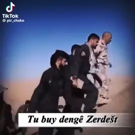 #زردشت_قايد_قوات_وحدات_مقامة_سنجا_اسايش_يزدخان 