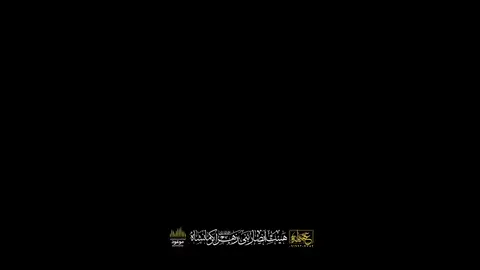 #اميرحسين_حضرتى #شور #shoor #fyp 
