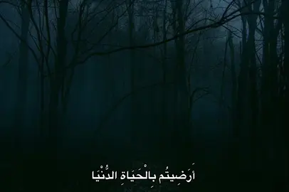 #محمد_صديق_المنشاوي #المنشاوي #fyp #quran #🎧 
