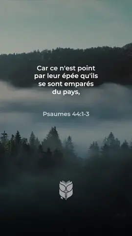 Psaumes 44 verset 1 au verset 3 le peuple confesse Dieu notre refuge #labible #BibleVision