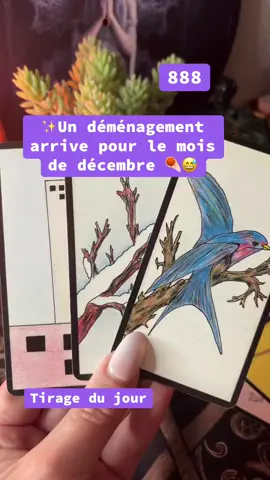 #creatorsearchinsights 