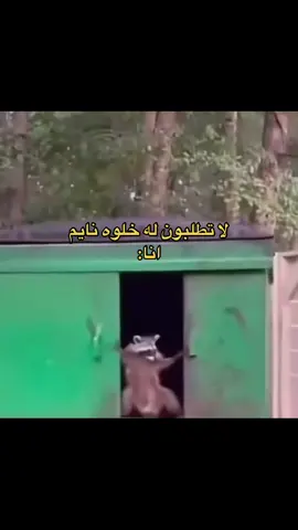 #explore 