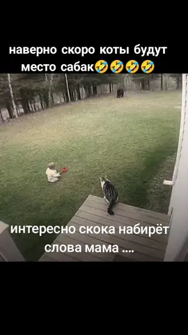 ржу 3 часа 