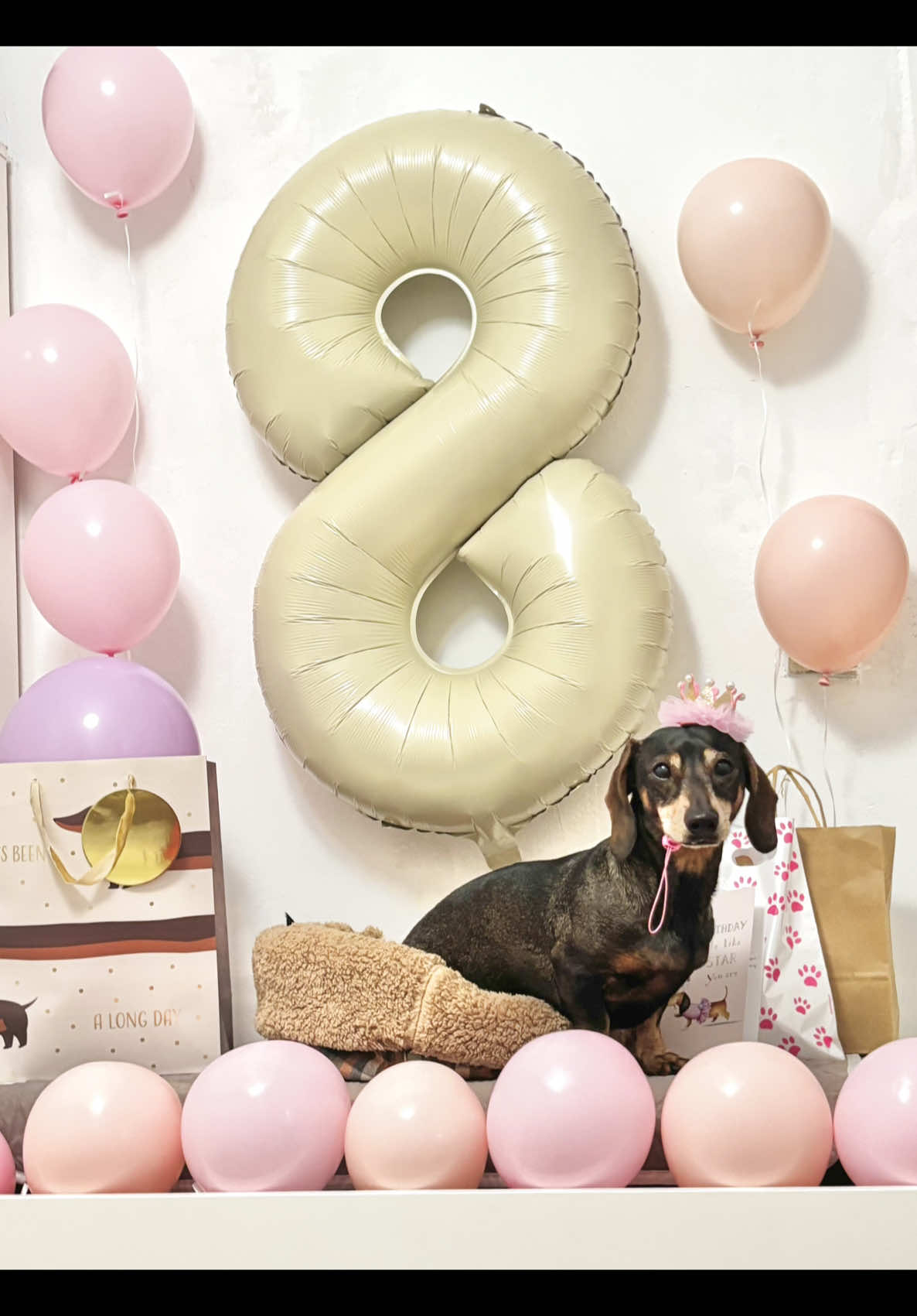 Ma van a szülinapom pom pom🥳🥳🫶🏻