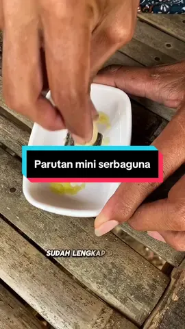 Paritan mini banyak manfaatnya #parutanmultifungsi #parutanjahebawang #parutanmini 