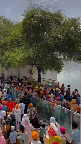 #💚💙🇨🇮❤️💛 #fyp 