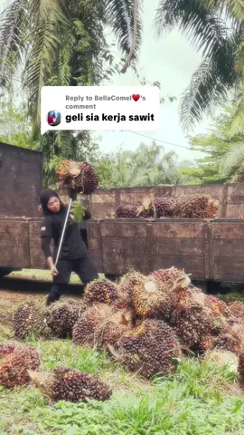 Replying to @BellaComel♥️ buah besar-besar kalini, nak try? #sawit #sawitmalaysia #fyp 