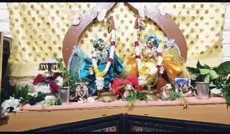 🥀Radhey Krishna 🦚💐🌺❤️🌼🦋🌺