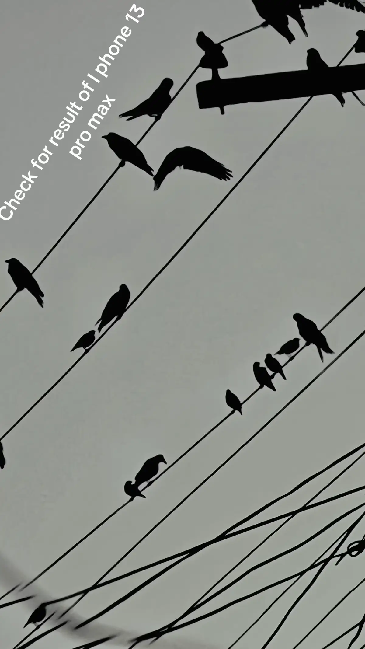 I phone 13 pro max camera result