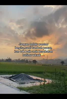 🤪🤣#promomakan1010 #storykata #masukberandafypp #tentenakana🤙🏻🔥 #sulawesipride🏝️🔥 #fypシ 