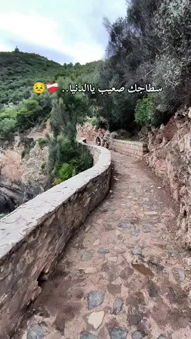 #music #explore #hindisong #الشعب_الصيني_ماله_حل😂😂 
