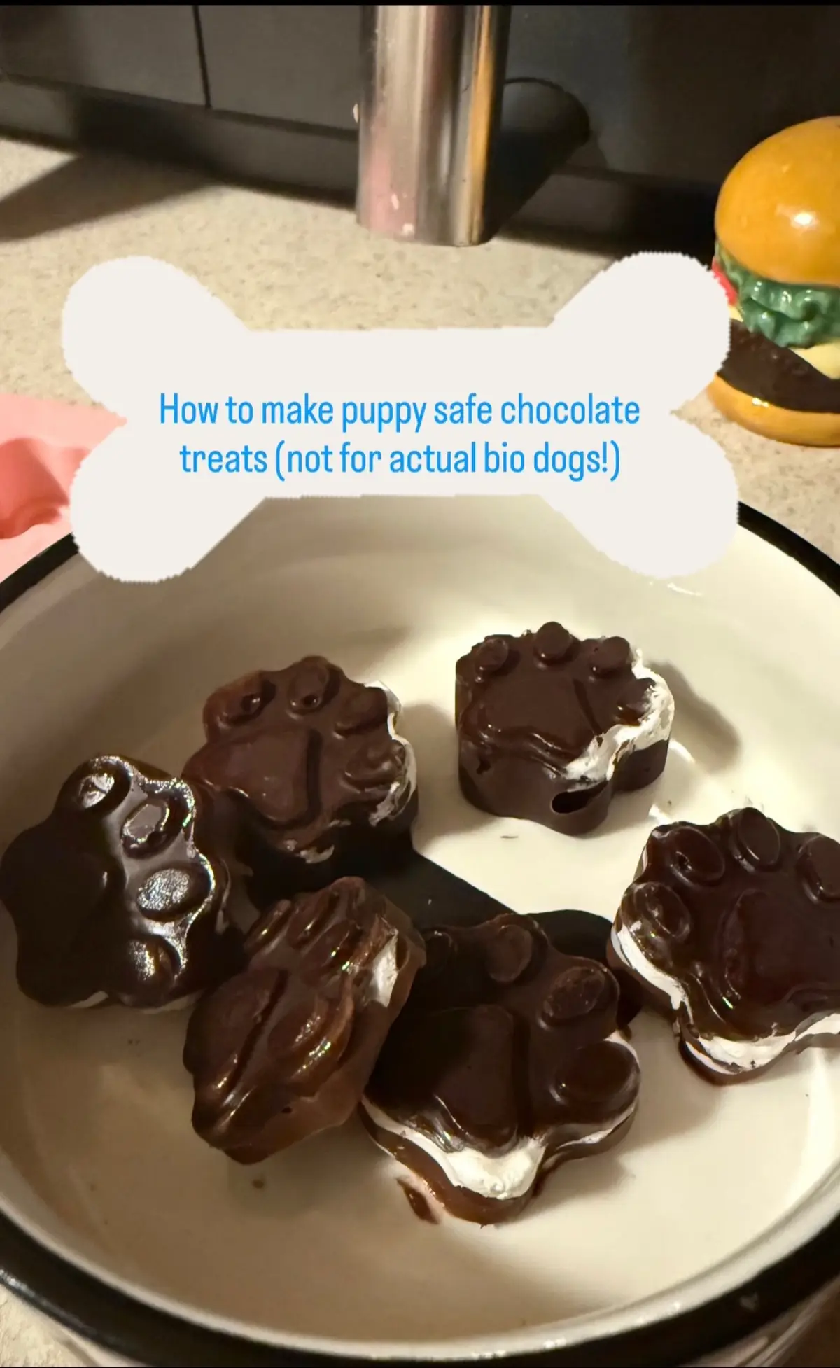 For all the people in my comments I don’t identify as a dog. Some of yall need to grow up and not assume anything. At the end of the day you just make yourself seem sad. I’m here enjoying being a doggirl if you don’t like it I’m gonna assume you can think and scroll luv yalll mars out! #kemonomimi #doggirl #puppygirl #inumimi #puppyboy 