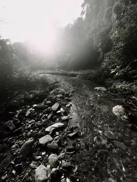 真正的爱情不是一时好感，而是我知道遇到你不容易，错过了会很可惜。
