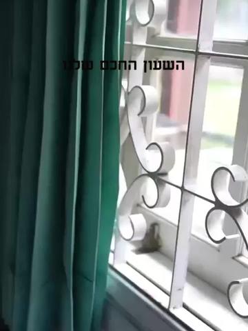 זמין באתר במגוון צבעים | והמחיר אפילו יותר טוב