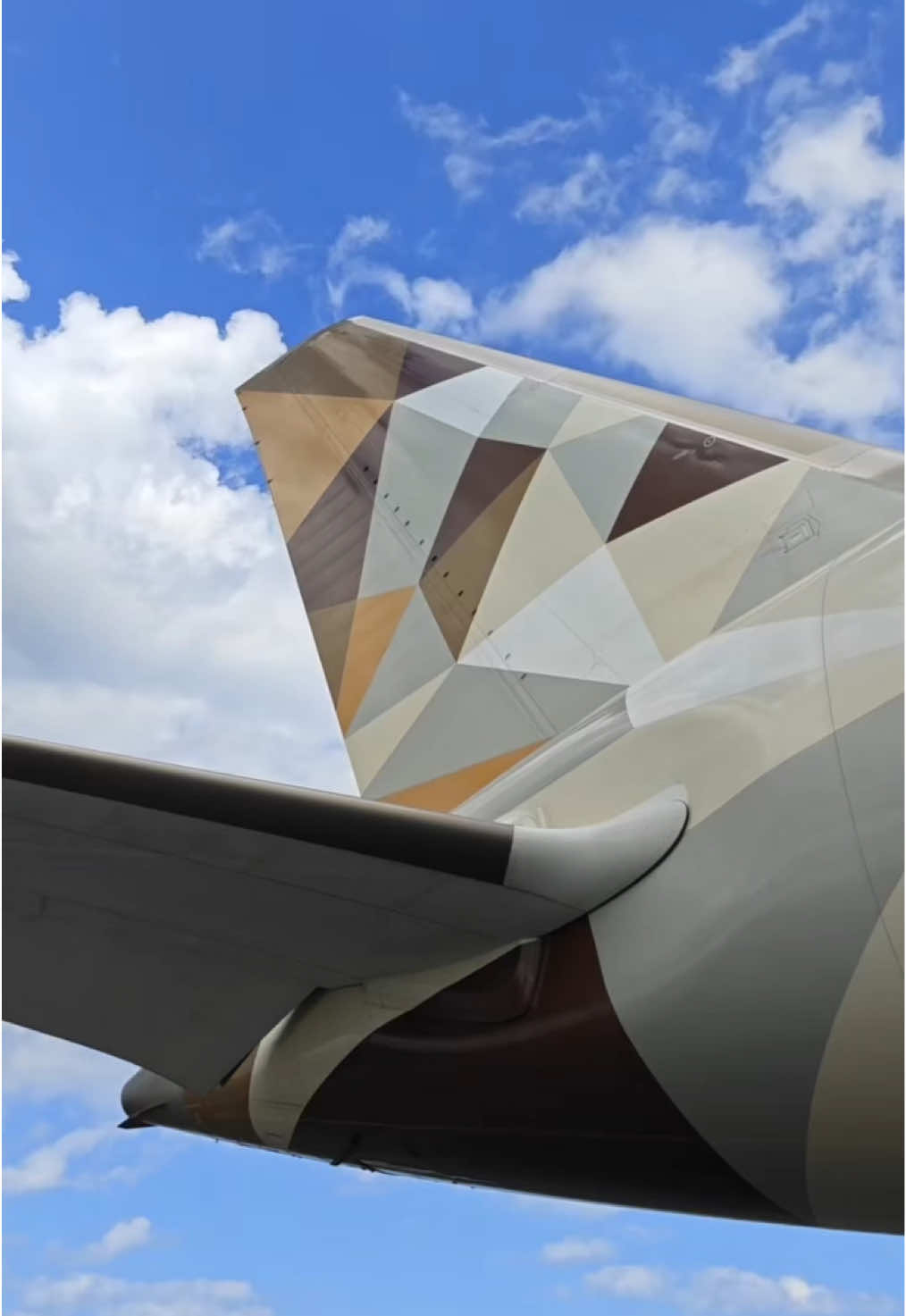 Our Etihad B787 is stunning from every angle✨ #airplane #aviation 
