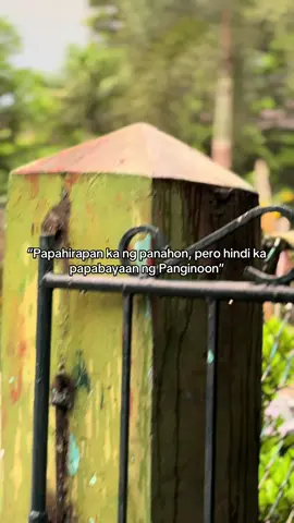 #fyp 