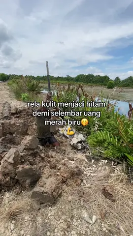 #petambakmuda#kaltara 