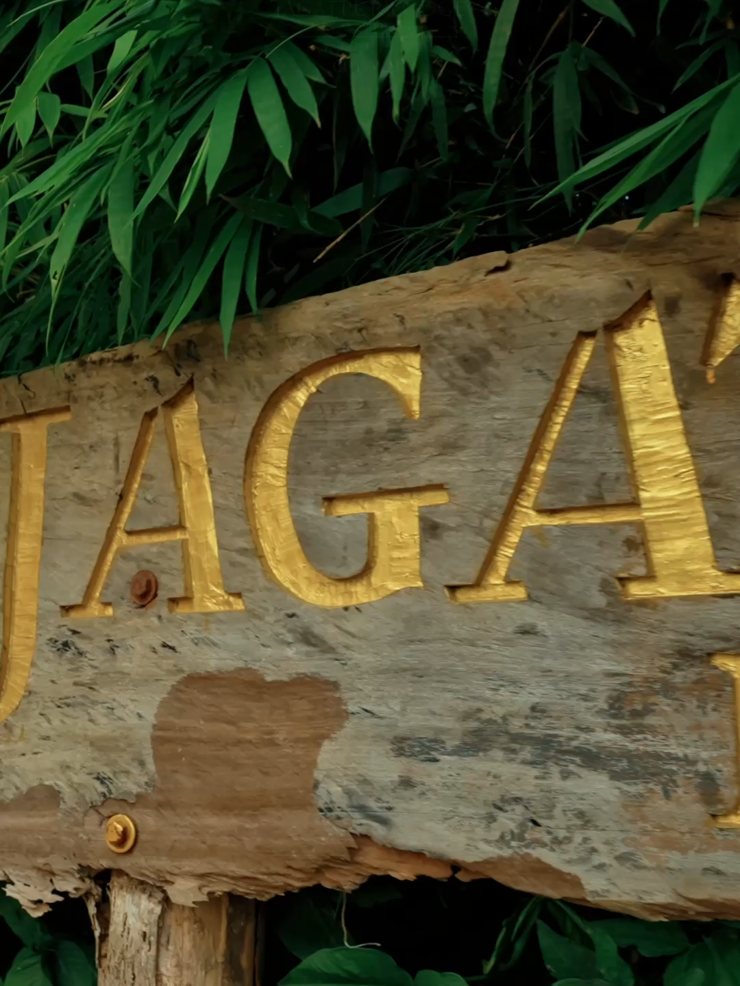 Step into comfort and charm – as our guests arrive at Jagatpur Lodge, they’re greeted with refreshing welcome drinks to start their stay on a delightful note. For reservations, please call: 9801049458, 9801066161, 9802333264, 9802856233, 9815134024 Email: reservation@jagatpurlodge.com www.jagatpurlodge.com City Office: +977 1 5325241, Chitwan: +977 56 411085  #Jagatpurlodge #JagatpurLodgeByAnnapurna #Bharatpur #Chitwan #BharatpurChitwan #JagatpurChitwan #Nepal  #hospitalityservice #Glamping #SouthAfricanTents #spacious #woodland #bamboogroves #Raptiriver #UNESCO #WorldHeritageSite #ChitwanNationalPark #jungleactivities #localexperience #intothewild #ecofriendly #beauty #travelplan #travel2025 #staycation2025 #vacation2025 #traveldestination