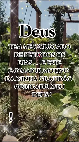 Bom dia ❤️ um lindo e abençoado domingo pra todos amém #unlindodia🙌🏻 #domingou #foryoutiktokviralbrasil 