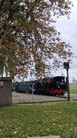 Dampf Wochenende mit der Mansfelder Bergwerksbahn  #dampflok #nostalgie #schmalspurbahn #eisenbahnbilder #mansfelderbergwerksbahn 